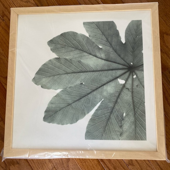 16” Framed “Green Leaf” Tropical Art by minted.com - Picture 2 of 4